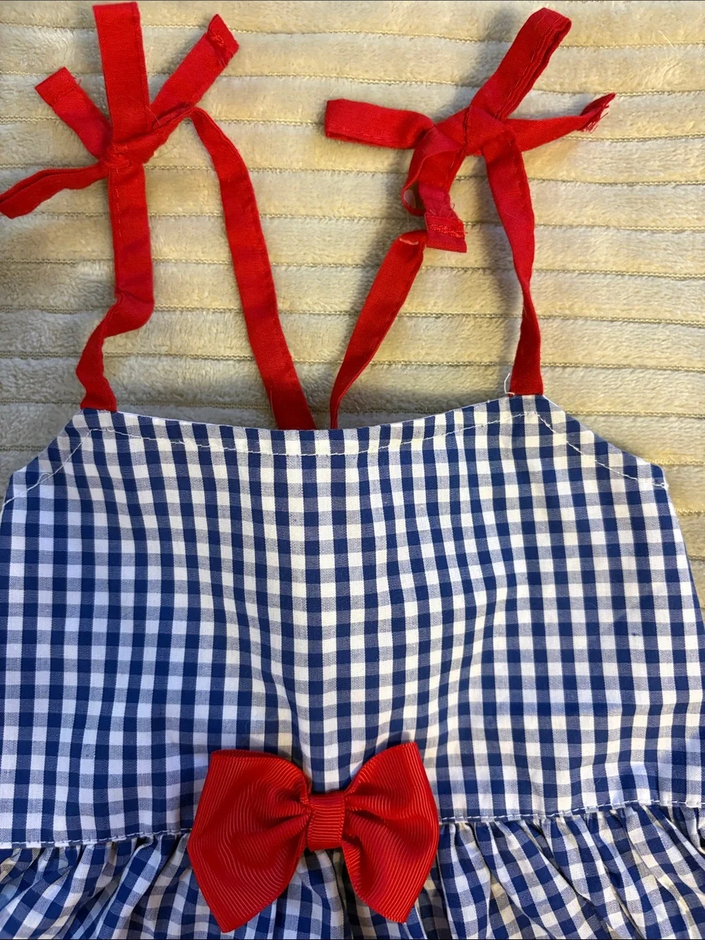 Blue Gingham Dog Dress with Red Trim and Bow